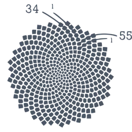 Sunflower insight analysis